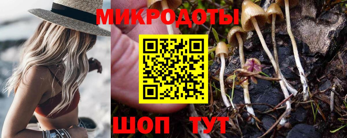 Псилоцибиновые грибы мухоморы  Вход с VPN  Галлюциногенные грибы ЛСД  Гусев 